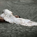 angelsofdeath-club avatar