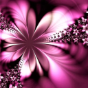 angelswearcollars avatar