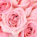 angelwingsandstarlets avatar