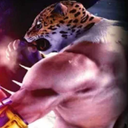 anger-0f-beast avatar