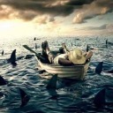 angiolettonerocarbone avatar