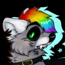 angry-raccxxn avatar