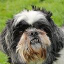 angrycrabeyes avatar