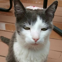 angryfruitlord avatar