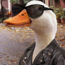 angrygalaxyduck avatar