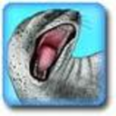 angryleopardseal avatar