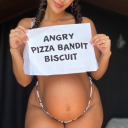angrypizzabanditbiscuit avatar