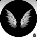 angryracoon92 avatar