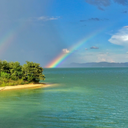 angryscientest avatar