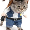 angrysmolbean avatar