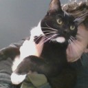 angrytheatremaker avatar