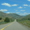 angrytigersstuff avatar