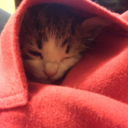 angrytiredstudent avatar