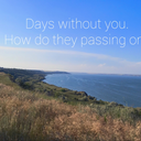 angrywerewolfcloud avatar