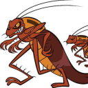 angryycockroach avatar