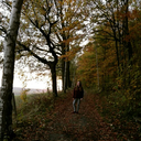 angst-dich-zuverlieren avatar