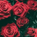 angst-verletzt-zu-werden avatar