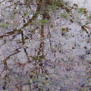 angsty-on-main avatar