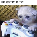 angstyboiiiiii avatar