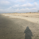 angstyvibechecker avatar