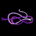 anguilliforme avatar