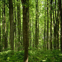 angusboompants-blog avatar