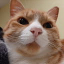 anhedoniavantoads avatar