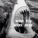 anicoler13-blog avatar