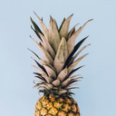 anicypineapple avatar