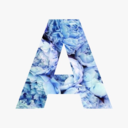 anikasprocrastinatingagain avatar