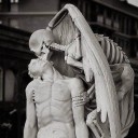 animaavocaret avatar