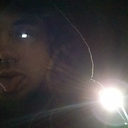 animal-instinct avatar