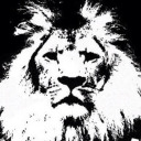 animalcampbell avatar