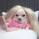 animalcrackercrumbs avatar