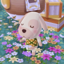 animalcrossings-posts avatar