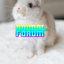 animalforum avatar