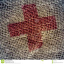 animalmothereff avatar