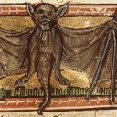 animalnocturn avatar