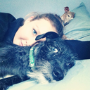 animalobservationist avatar