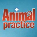 animalpractice-blog avatar