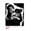 animalrightsarchive avatar