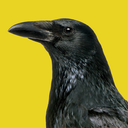 animals-are-people-too avatar