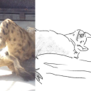 animals-with-fan-art avatar