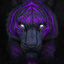 animalsareinteresting avatar