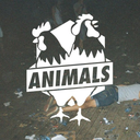 animalsfrance avatar