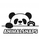 animalsnaps avatar