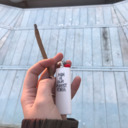 animalsonvenus avatar