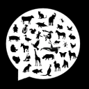 animalsoutloud avatar