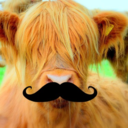 animalswithmustaches-blog avatar