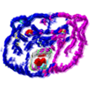 animalsyes avatar